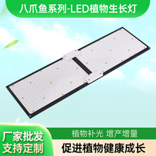 ӰֲȫV҃L{̫ꖹ⻨߲a