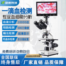 绿康高清一滴血检测仪电子双目亮背景显微镜看血液细胞亚健康预测