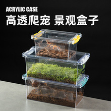 爬宠亚克力景观饲养盒睫角守宫蜥蜴角蛙蛇蜘蛛桌面生态造景盒子
