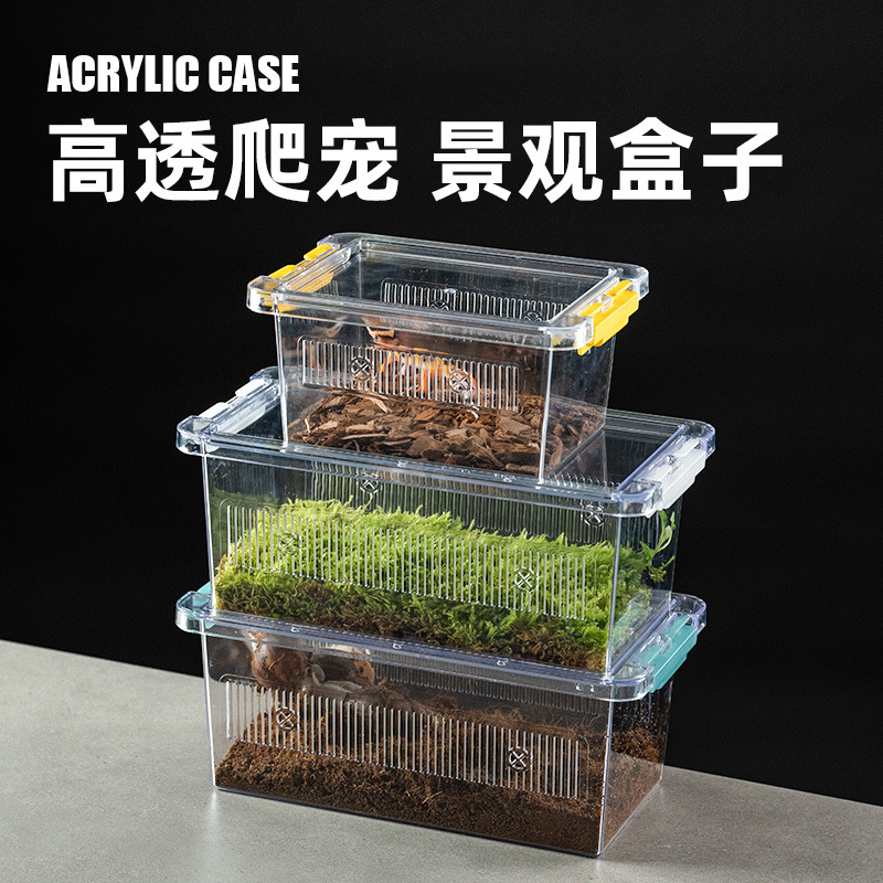 爬宠亚克力景观饲养盒睫角守宫蜥蜴角蛙蛇蜘蛛桌面生态造景盒子