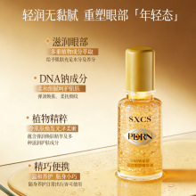 ���㳼��DNA�c�o�ܵ��y�۲����A�Ϳ����杙�̝������ۼy�S�����l