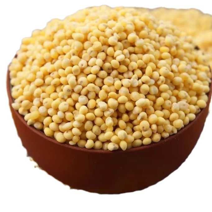 ��������������ز�ճŴ����ũ����������׷�����