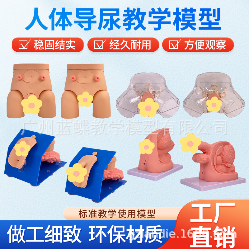 ��Ů��������ֳ�����ʵ���ֱ����ϰģ�ͽ�ѧ��������������ֳϵͳ