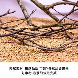 南美缸造景沉木枝条黄梨枝细枝原生缸底床修饰点缀装饰天然小树根