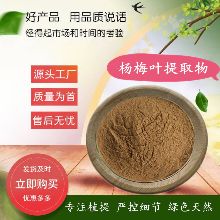杨梅叶提取物  树梅叶提取物 可拆封 水溶杨梅叶粉 厂家供应价