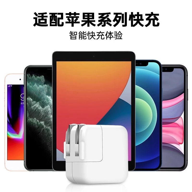 Apple iPad 充電器 12W 高速充電ヘッド iPad/Pro/MIni/AirUSB カーデータケーブルパッドに適しています。|undefined