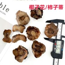 ��Ҭ�ӻ������ӵ���������Ȼ�ɻ�����Ҭ�Ӛ���DIY�ֹ��zӰ����