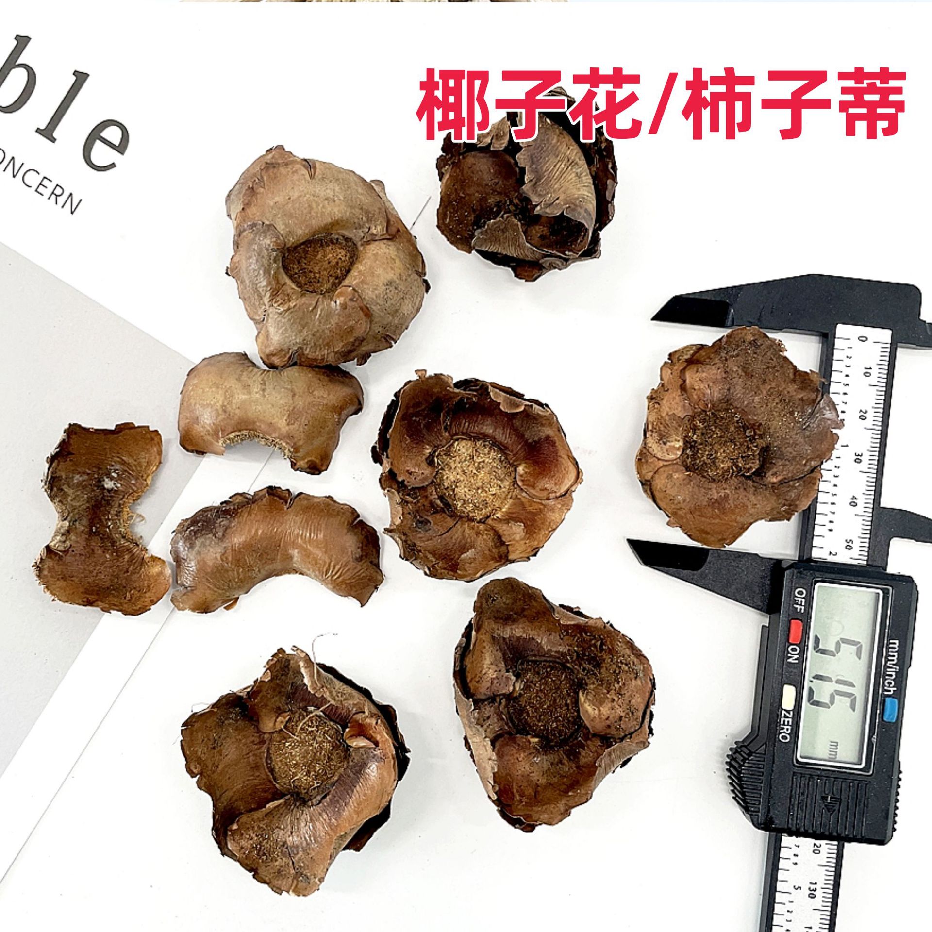��Ҭ�ӻ������ӵ���������Ȼ�ɻ�����Ҭ�ӿǻ�DIY�ֹ���Ӱ����