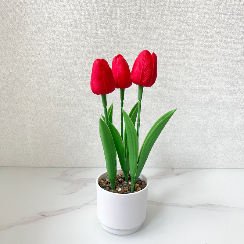 레드 (높이 25*가로 10cm)