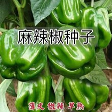 �����N�������������������콷С�����L�����ļ��̨�����Ϸ��N��