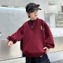 新款春季春秋男孩套头衫