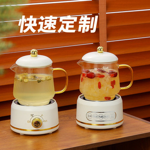 Mini Health Pot, Multifunctional Household Health Cup, Small Office Tea Maker, Electric Hot Water Cup, Gift Box