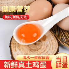 枞乡情 农家散养土鸡蛋60枚装 小枞厂家直发新鲜草鸡蛋高山土鸡蛋