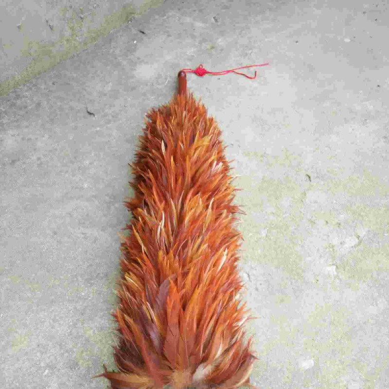 Перьевой пылесборник [Feather Dust Sweeper] удлинённый для домашней уборки.