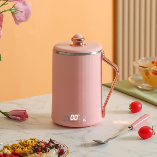 110V220V Weibili Travel Electric Kettle Adjustable Temperature Insulation Kettle Portable Hot Water Kettle Health Cup Winter Gift