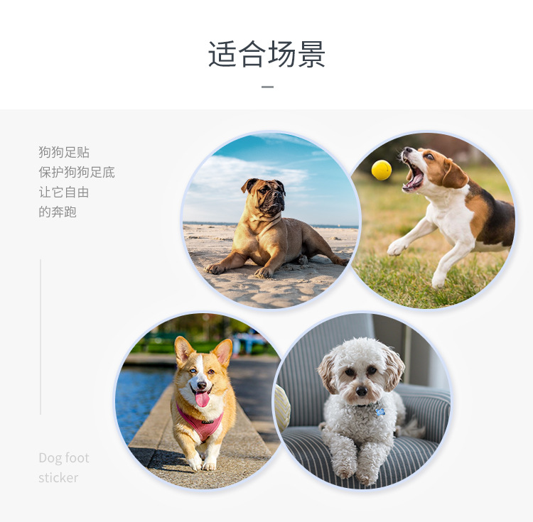 狗足贴_10.jpg
