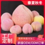 仿真大号秋冬春夏假水果