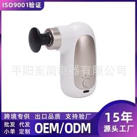 筋膜枪;按摩枕/靠垫;电动刮痧仪