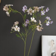 `ɣҰջ ؛ԴҾӘӰg҃bյ