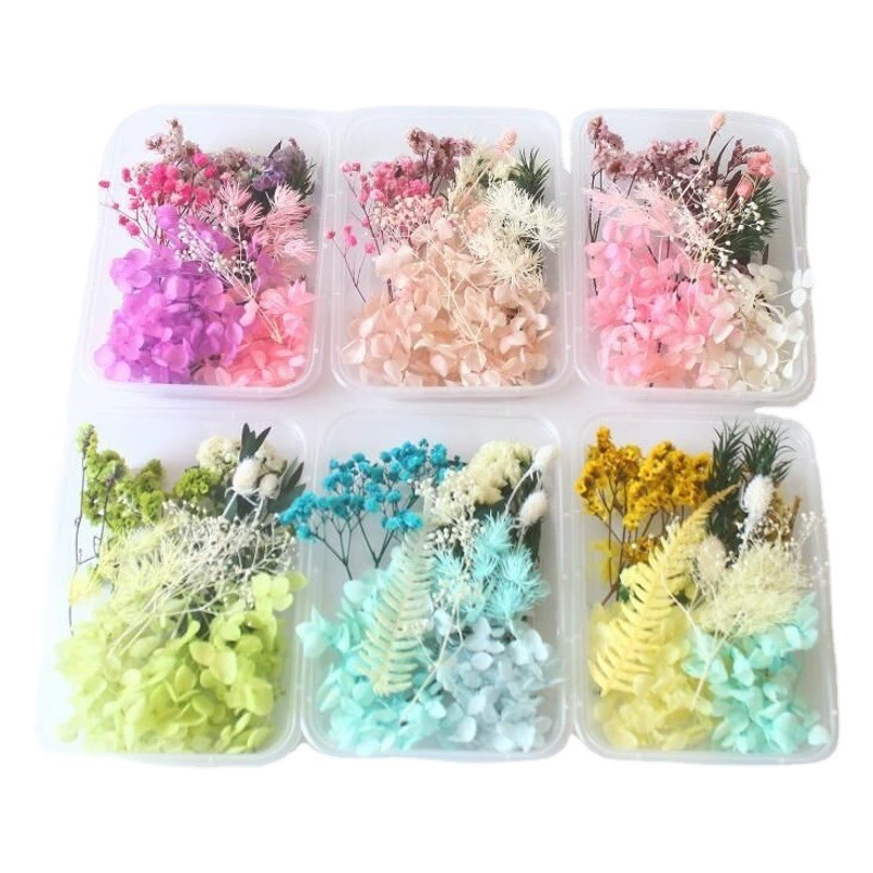 Вечный цветок diyC сушеный цветок материал сумка фоторамка групповой вентилятор плавающая бутылка цветочный материал детский сад настоящий цветок Организация украшения гостиной