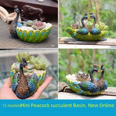 Zakka Mini Creative Succulent Peacock Planter Combo Pot Plant Balcony Desktop Decoration Amazon Cross-border