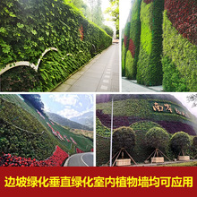 �҃���ֲ������������Π��Nֲ����߅���o�´�ֱ���w�G���NE18