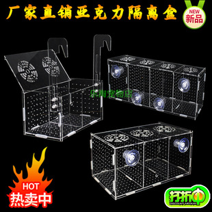 Fish Tank Isolation Box Acrylic Isolation Box Plate Fish Hatching Box Aquarium Small Fish Fry Hatching Breeding Box Dogny Willow