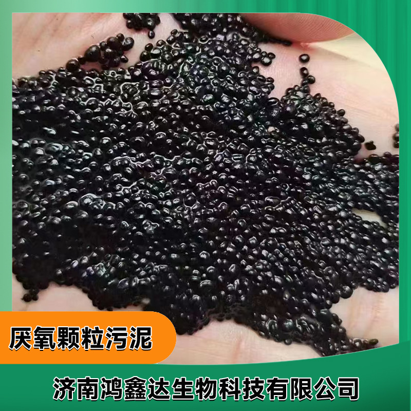 厌氧颗粒污泥污水处理工业级生物菌种造纸石灰化工柠檬酸啤酒废水