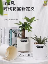 ��ŷ����մɻ�������������֬���żӺ����������ں�������ֲ��