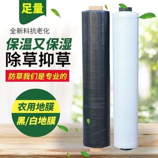 Agricultural vegetable orchard black film weeding thickened plastic film strawberry greenhouse planting anti-grass film moisture insulation