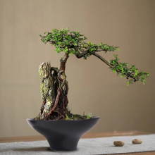 �o��ˮ�������~�X̦�\΢���^�մɄ���[����ɫާ�ֲ�ﻨ��