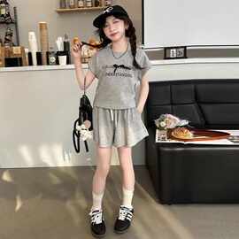女童套装2025夏季新款短袖时髦洋气公主风两件套韩版百搭运动潮款