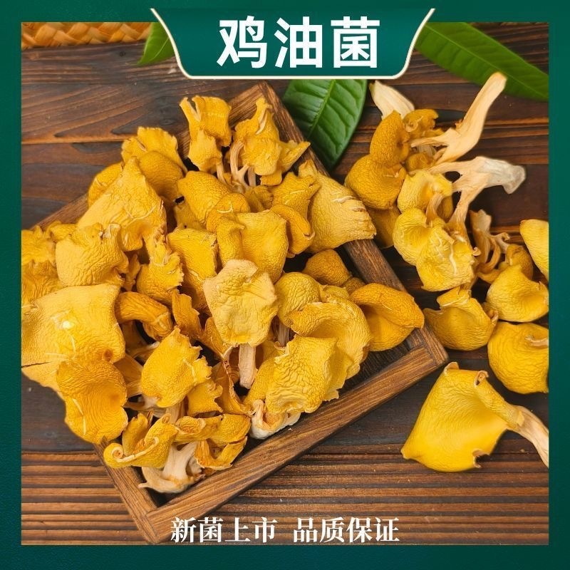 新鲜干货鸡油菌黄丝菌土特产榆黄蘑黄金菇香菇菌菇汤食用菌煲汤|undefined