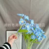 Forget me not blue