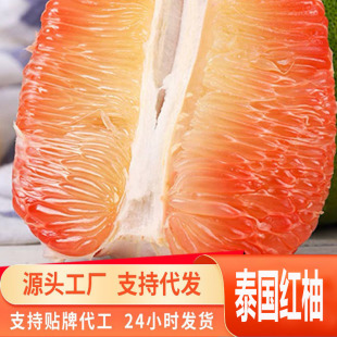 Դ�^һ�����l̩���t�ֽ����M�����������rˮ���t����Ƥ�t���ִ��