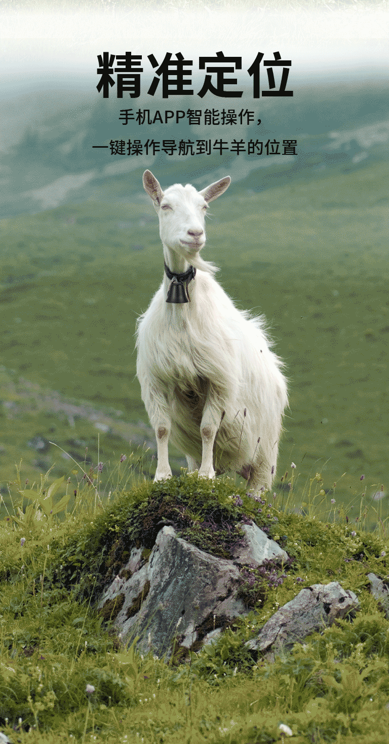 Q6 Cow and Sheep Collar-Mounted Tracking Device for Pasture and Grassland, Waterproof Gps Beidou Wifi Multi-Mode Locator