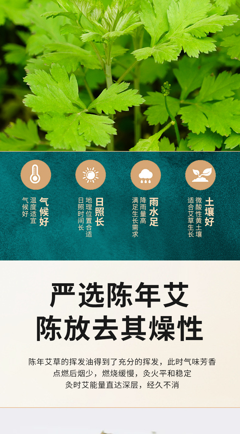 Aged Moxa Stick Ai Tiao 5 Year Mugwort Wool Hand Rolled Moxibustion Bar 50:1 Ratio key features