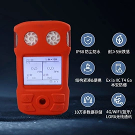 其他气体分析;硫化氢检测仪;氧气检测仪