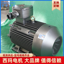 SIMO�����ļ�YBK3ú�V�÷���늙CYBK3-315L2-4-200KW-380V-B3��ʽ