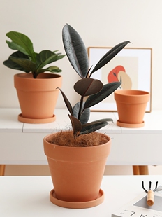 �߈A�μt�ջ��莧�бP͸�⺆�s����������Gֲ�Nֲ���̖���l