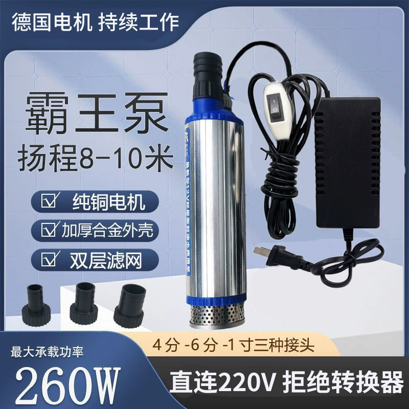 Пищевой винный насос из нержавеющей стали, новый электрический винный насос, артефакт 220, бытовой водяной насос 12 В