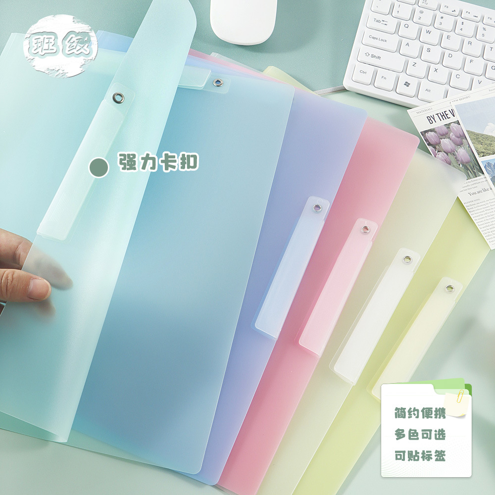 Doble carpeta A4 multicolor engrosado pp carpeta de datos de los estudiantes clasificar el libro de archivo de fijación de archivo