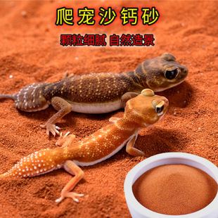 �����}ɳ�坍�ò�ɫʯӢɰ�����،m�ת{��B������������xɳ�|��