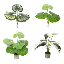 �F؛����Gֲ�҃�ֲ���쾰��������ֱ�G�����^�b廨���û�Y��