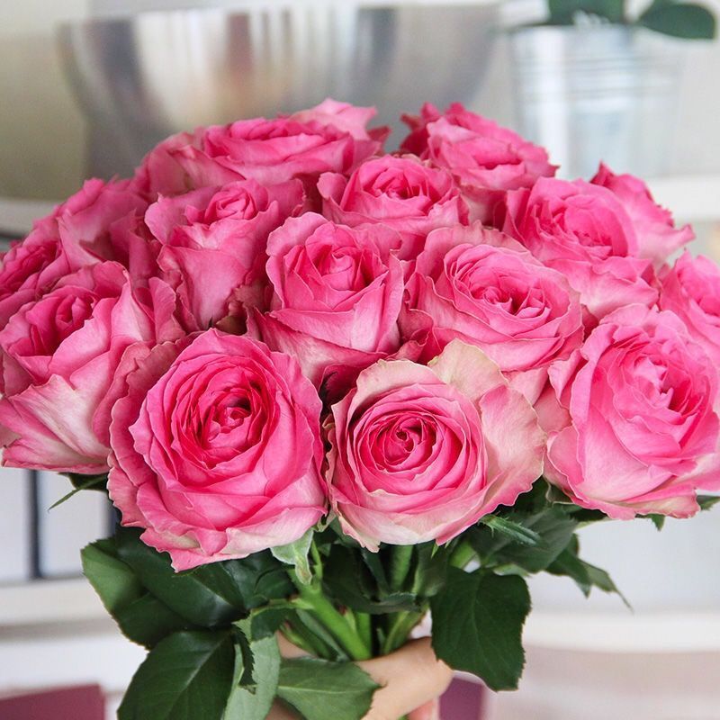 8b5f02de-607a-48aa-974a-6d7c9d17d068.jpe