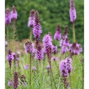 �߱޾� ����� ؈β�� �����^�p������ ��ͥ�@ˇֲ��@�־G����ľ