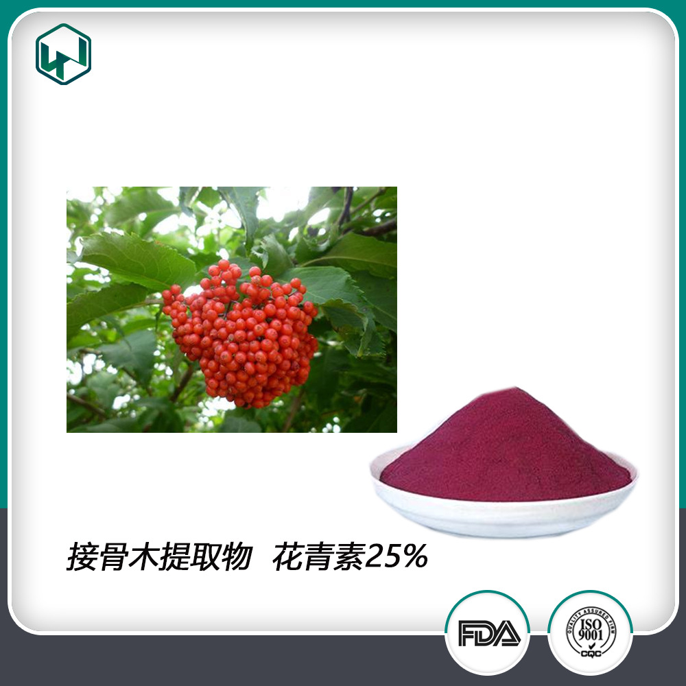 Shelf Elderberry extractive Anthocyanin 25% Welcome procurement