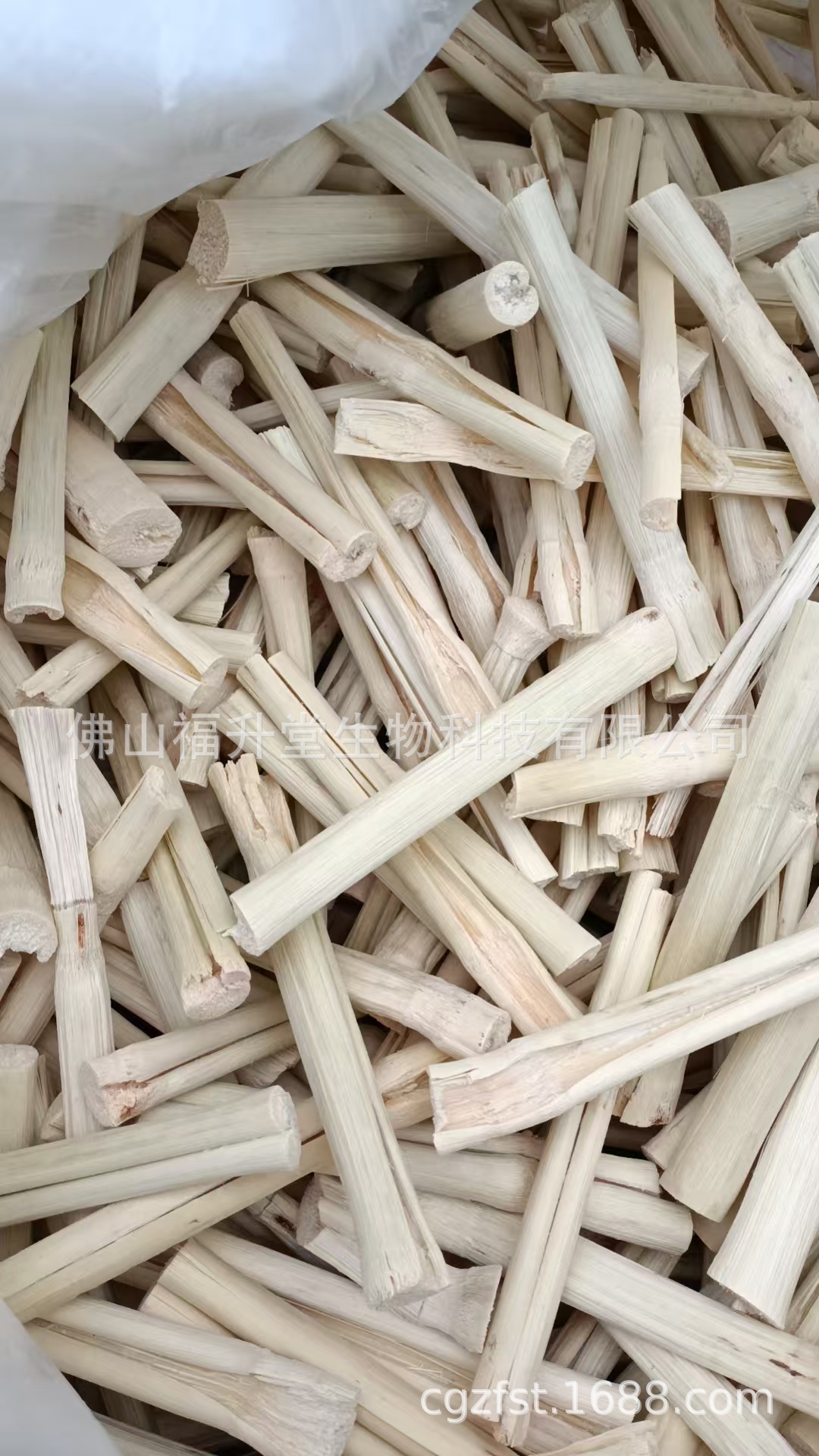 微信图片_20250227215832