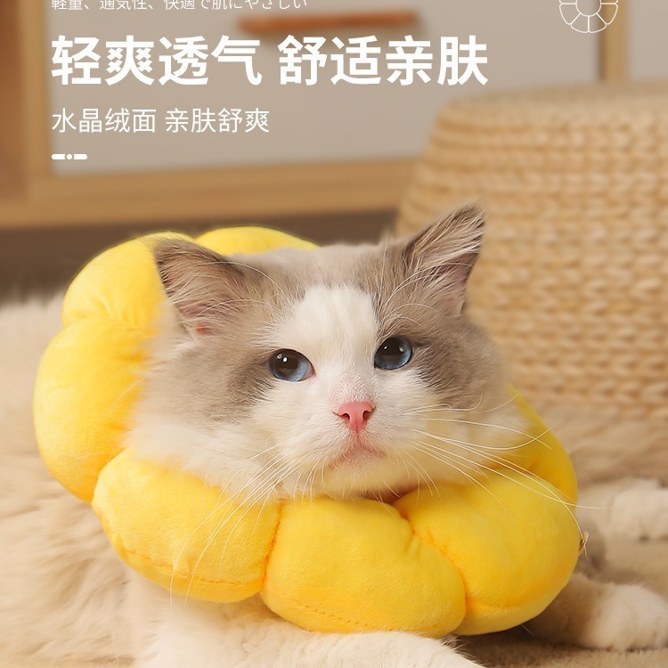売れ筋エリザベスカラー 猫用首輪 去勢・舐め防止・美容用 エリザベスカラー ペット用首輪|undefined