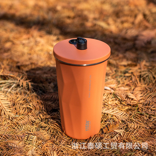 Taisuo Prismatic Straw Cup Stainless Steel Insulated Large Capacity Coffee Cup Portable Car Prismatic Couple Cooling Cups